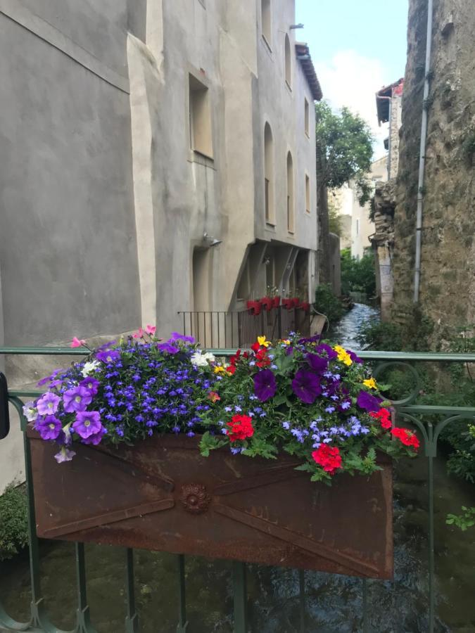 Apartamento Petit Reve LʼIsle-sur-la-Sorgue Exterior foto